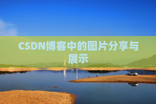 CSDN博客中的图片分享与展示